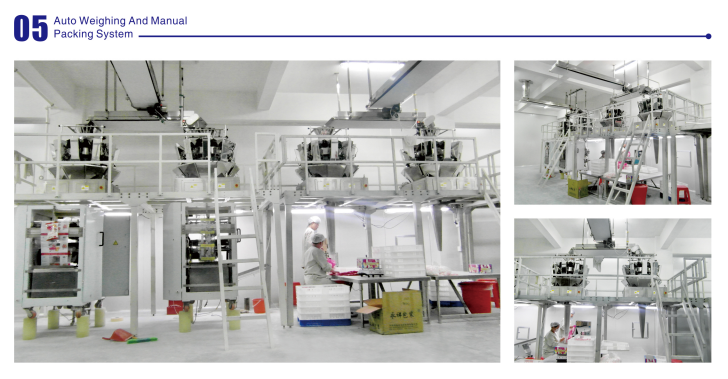 Packaging Systems Cases Packaging Systems Cases