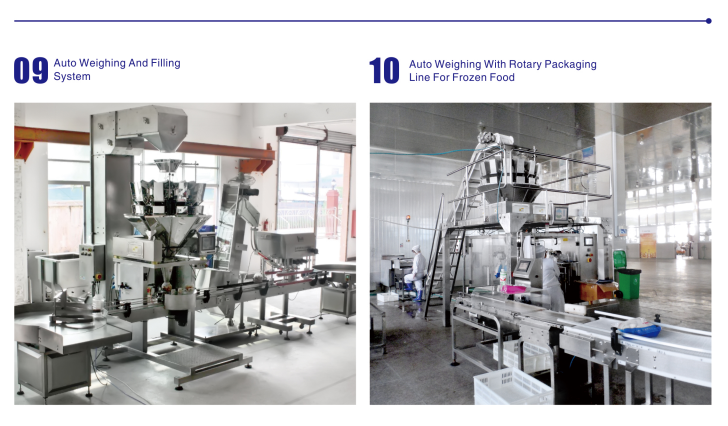 Packaging Systems Cases Packaging Systems Cases